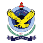 القوة الجوية